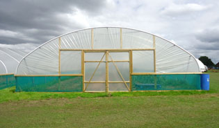 Polytunnels For Sale, Large & Small Plastic Greenhouses Online ...