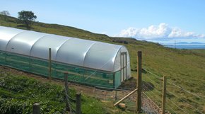 Polytunnel on a Slope