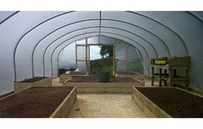 What size of polytunnel should I get?